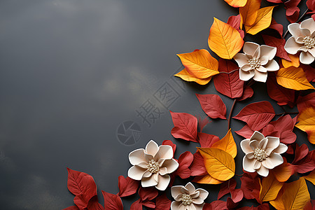 落叶间的花朵图片