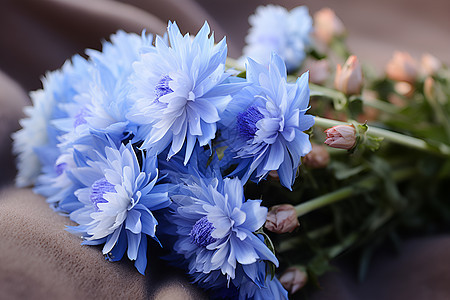 美丽的蓝色花束图片