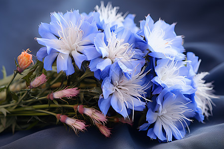 缤纷蓝色花束图片