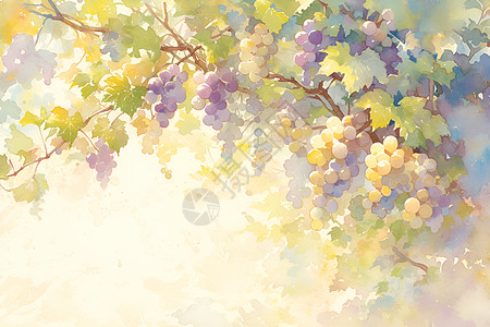 柔和的水彩艺术葡萄图片