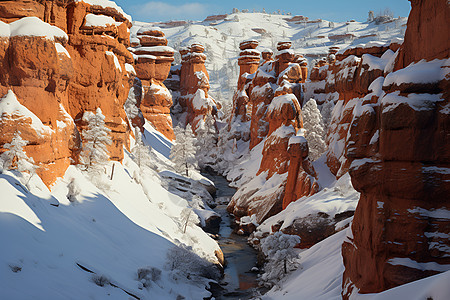 冬日峡谷的壮美图片
