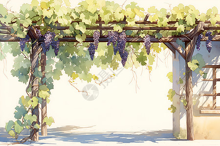 柔和水彩画中的一株葡萄藤图片