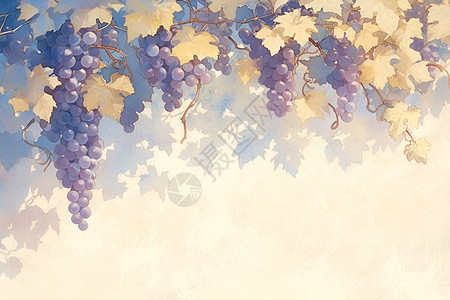 细腻水彩画中的葡萄藤图片