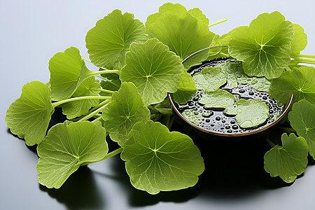 青绿蔬菜上的水滴图片
