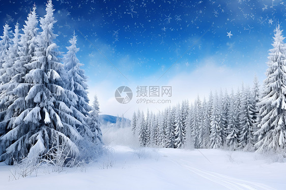 冬日星空中的雪景图片