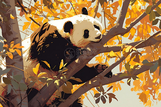 秋天树上的熊猫图片