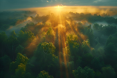 日落下的山林图片