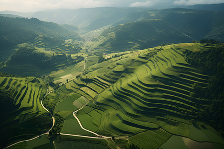 山脉梯田风景图片