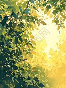 阳光里的茂密树林图片