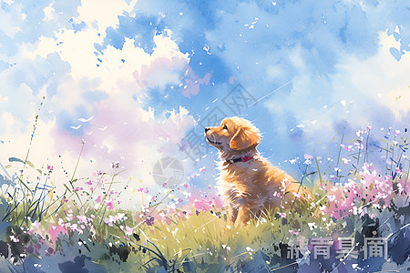 欢乐草坪上的小狗图片