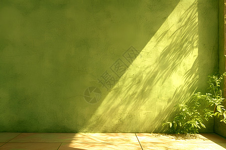 绿墙与植物的自然光影图片