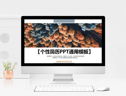 个性简历时尚通用ppt模板