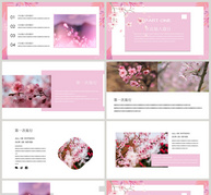 粉色樱花节PPT模板ppt文档
