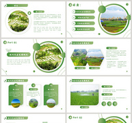 农业研究学术报告PPT模板ppt文档