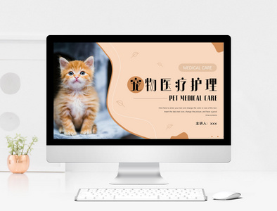 猫咪宠物医疗护理PPT模板图片
