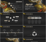 鎏金羽毛商务通用PPT模板ppt文档