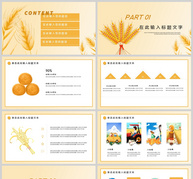 黄色简约大气芒种节日通用类PPT模板ppt文档