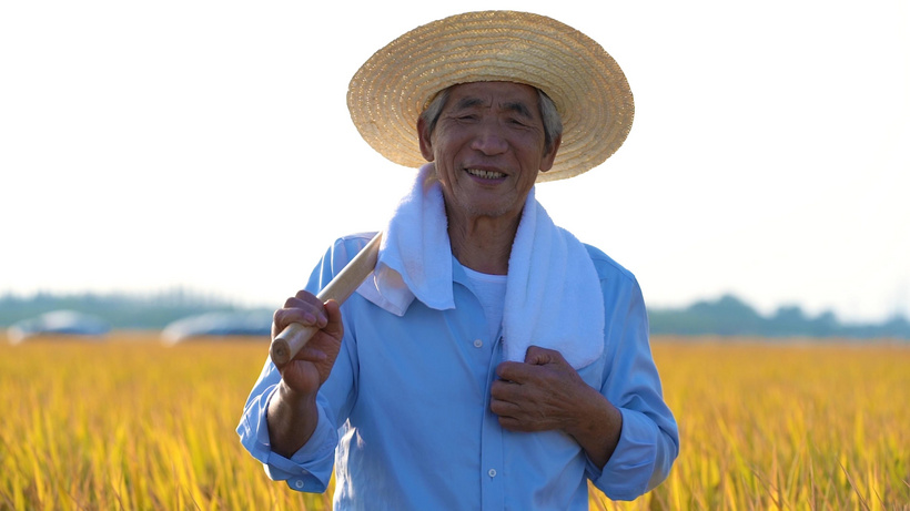 辛苦劳动擦汗的农民形象擦额mp4