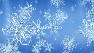 白色冰晶雪花飘落背景视频[冰珠]视频模板下载