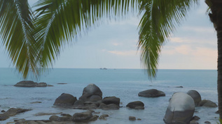 海边游客欣赏海景降格视频素材