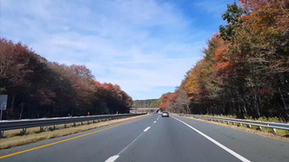 美国高速公路第一视角视频素材