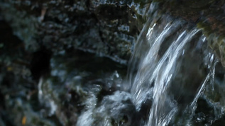 小溪河流水流实拍视频视频素材