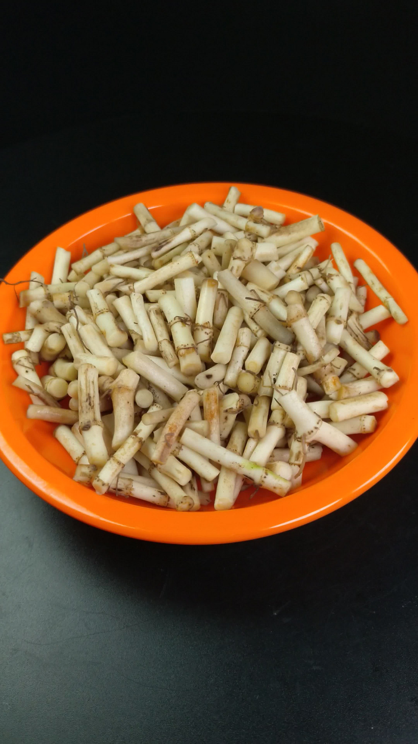 鱼腥草折耳根调味品