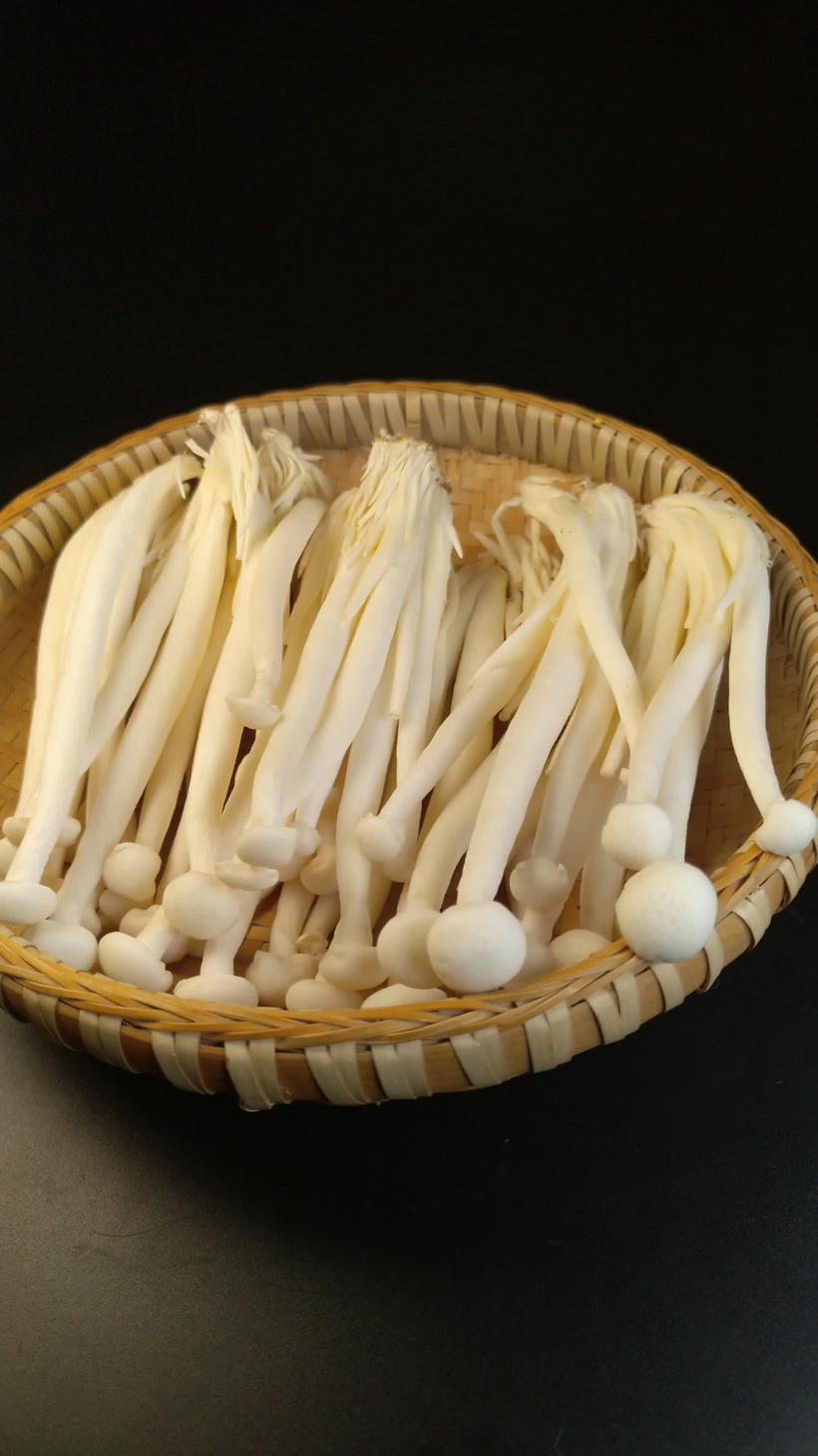 海鲜菇白玉菇食用菌