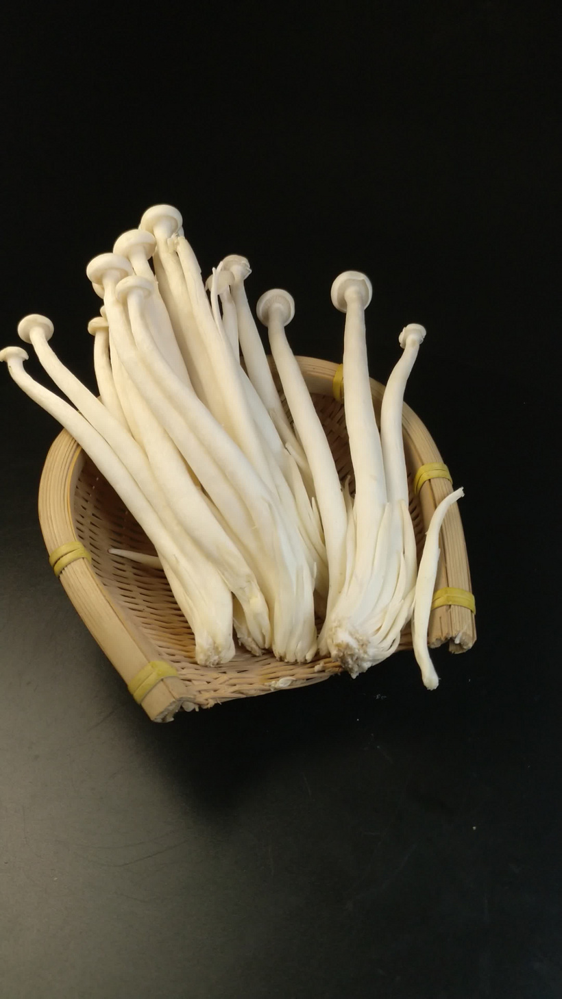 海鲜菇白玉菇食用菌