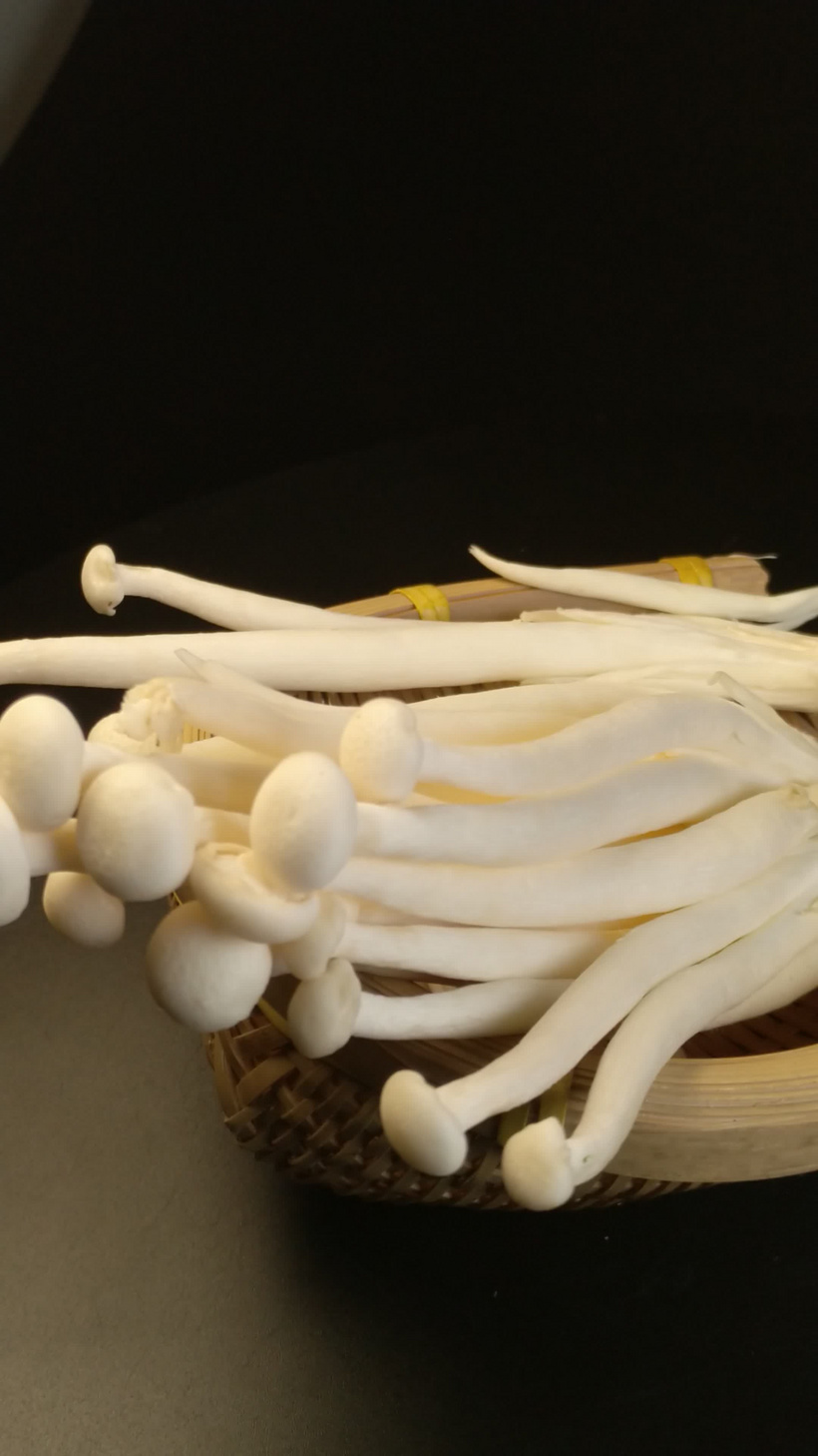 海鲜菇白玉菇食用菌秀珍菇