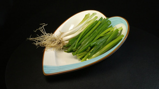 新鲜绿葱小葱[新鲜出炉]视频模板下载