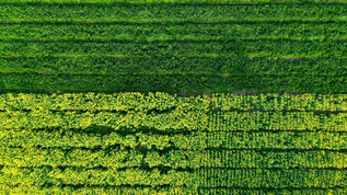 航拍平原的农田高清图片下载-正版图片500661761-摄图网