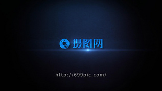 摄图网logo样机图模板素材-正版图片401759273-摄图网