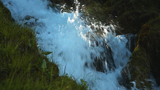 森林溪流瀑布视频素材