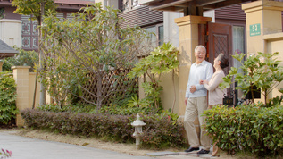 小区散步的退休夫妇视频素材