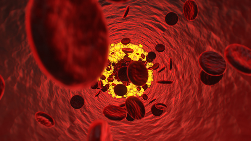 3d人体医疗血管微血管mp4