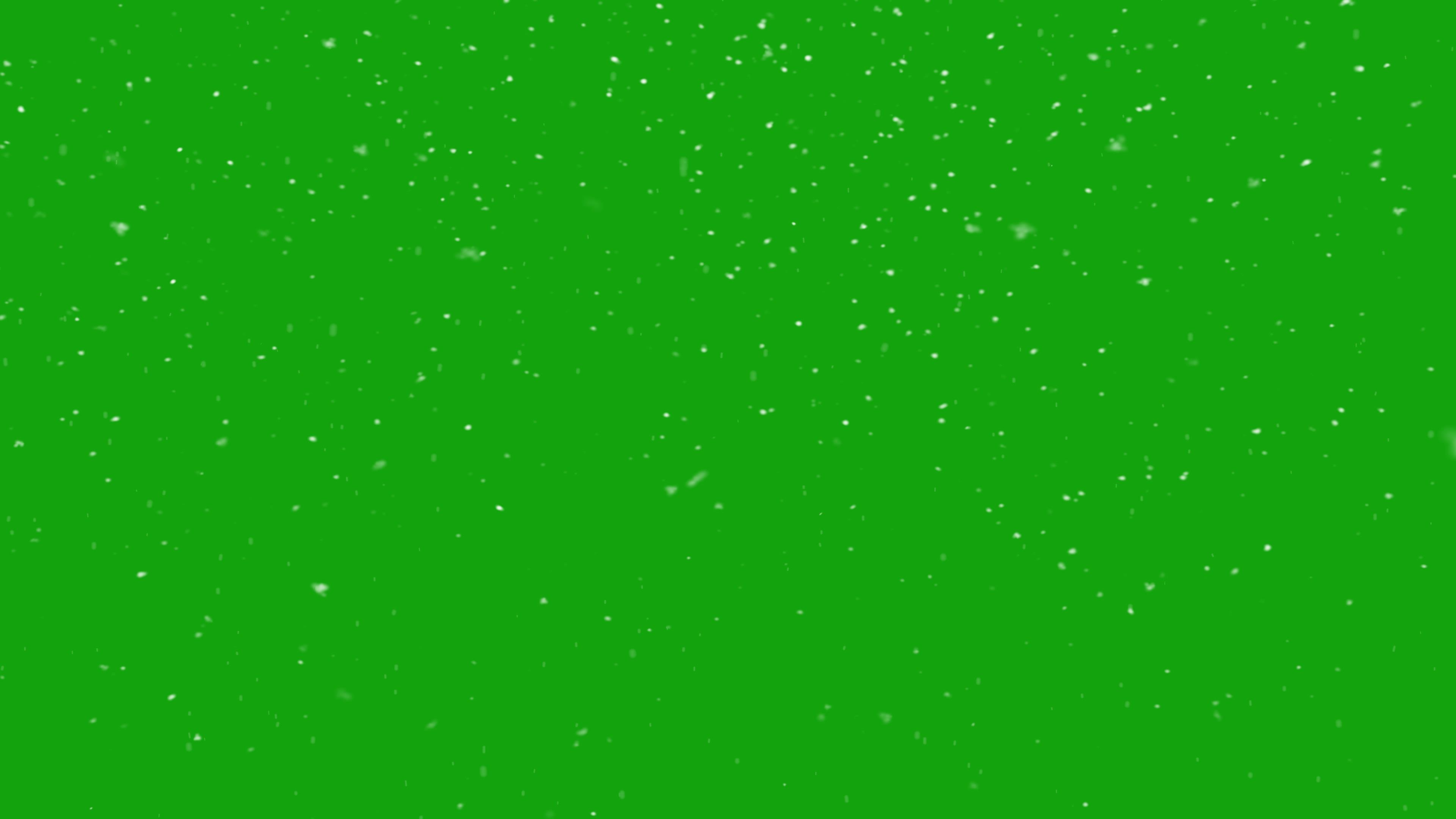 绿幕马视频素材下载-绿幕马小视频模板大全-摄图网