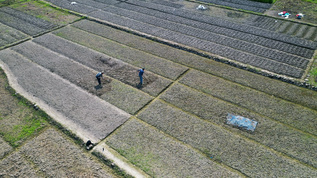 4K航拍田野里劳作耕种的农民视频素材