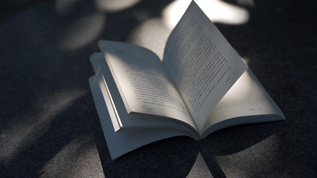 4k阳光下石桌上微微翻动的书本[鼓桥]视频模板下载