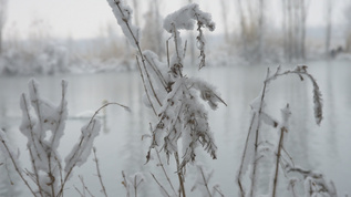 新疆冬季温泉雪景视频素材