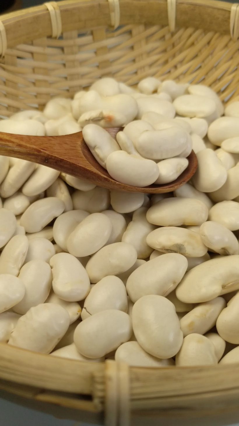 白色的芸豆豆子