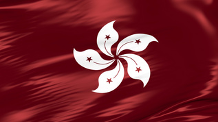香港紫荆花丝绸背景[香港地区]视频素材