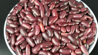 高山红腰豆视频素材