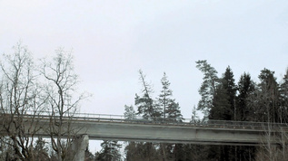 林中桥梁视频素材