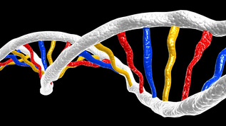 染色体DNA元素视频素材