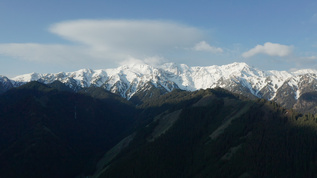 新疆天山风光旅游雪山松林航拍视频素材