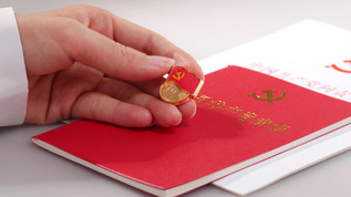 手拂党徽动作特写[抚起]视频模板下载