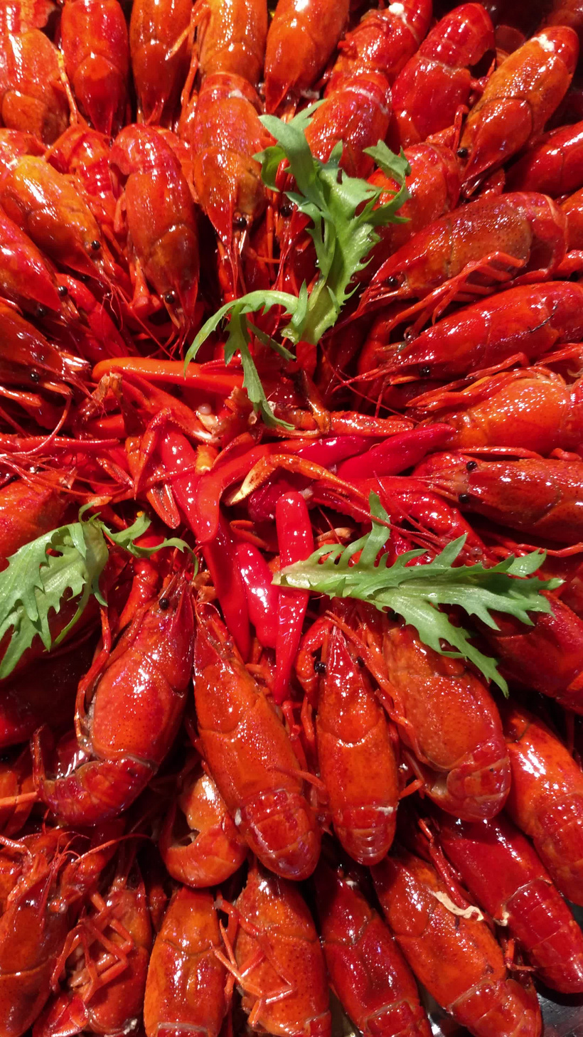 龙虾摆盘一盘麻辣小龙虾特写视频辣锅