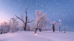 唯美粒子雪花雪景背景素材视频