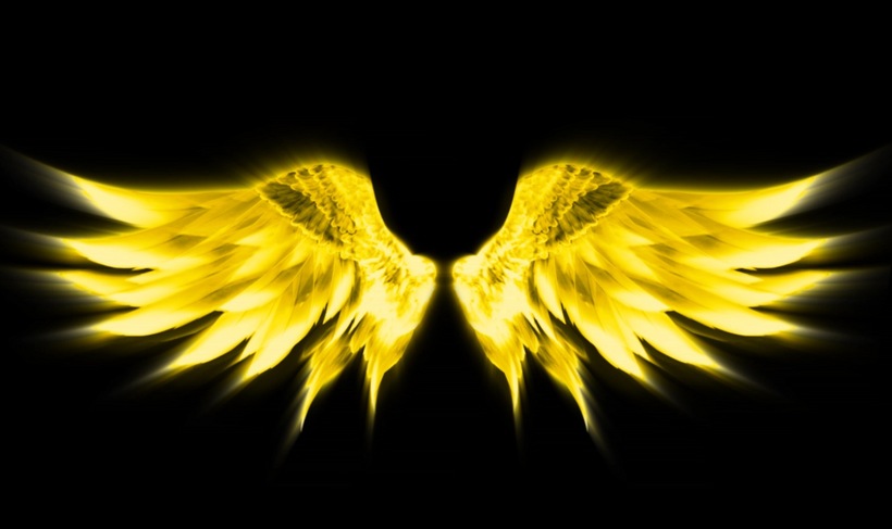 金色翅膀透明通道背景视频扑扇